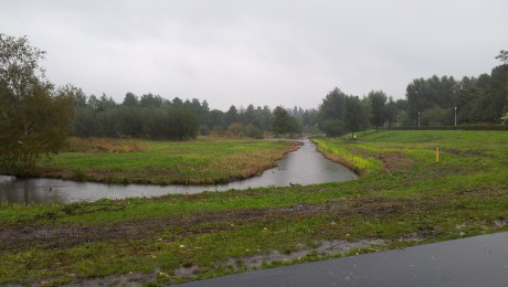 Westerpark oktober 2013