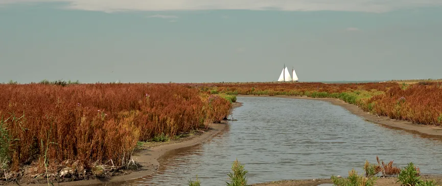 “Marker Wadden” een nieuw eiland in het Marker Meer