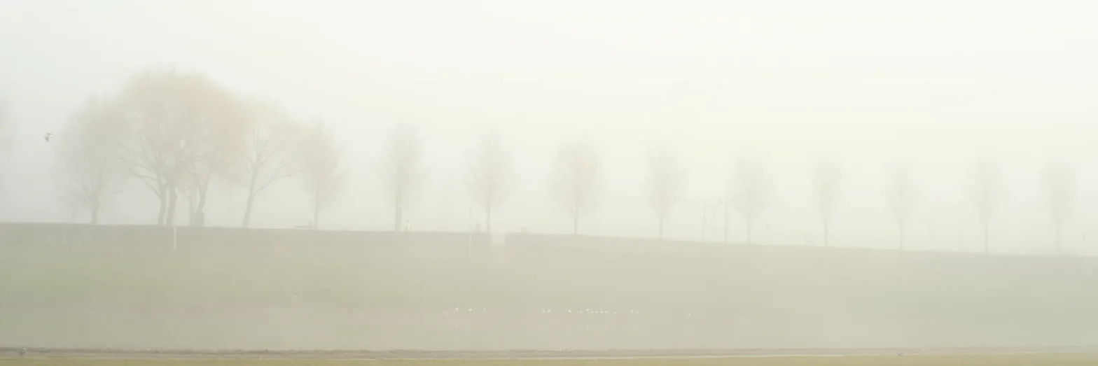 Mist Westerpark Amsterdam