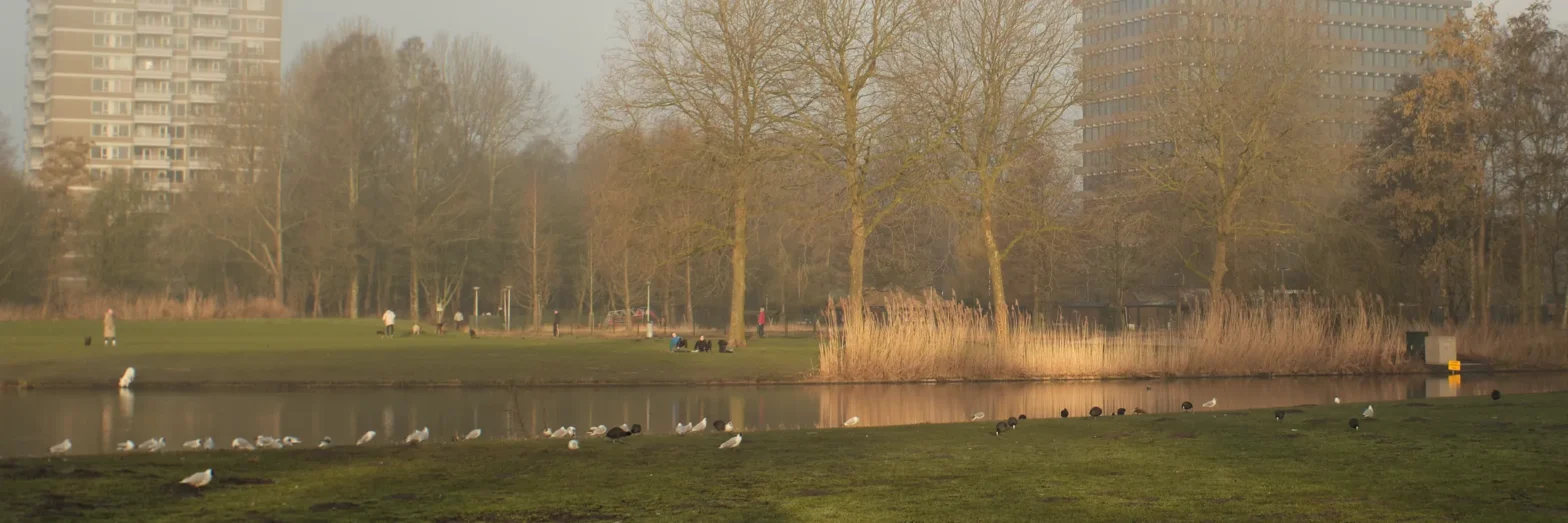 Mist Rembrandtpark Amsterdam