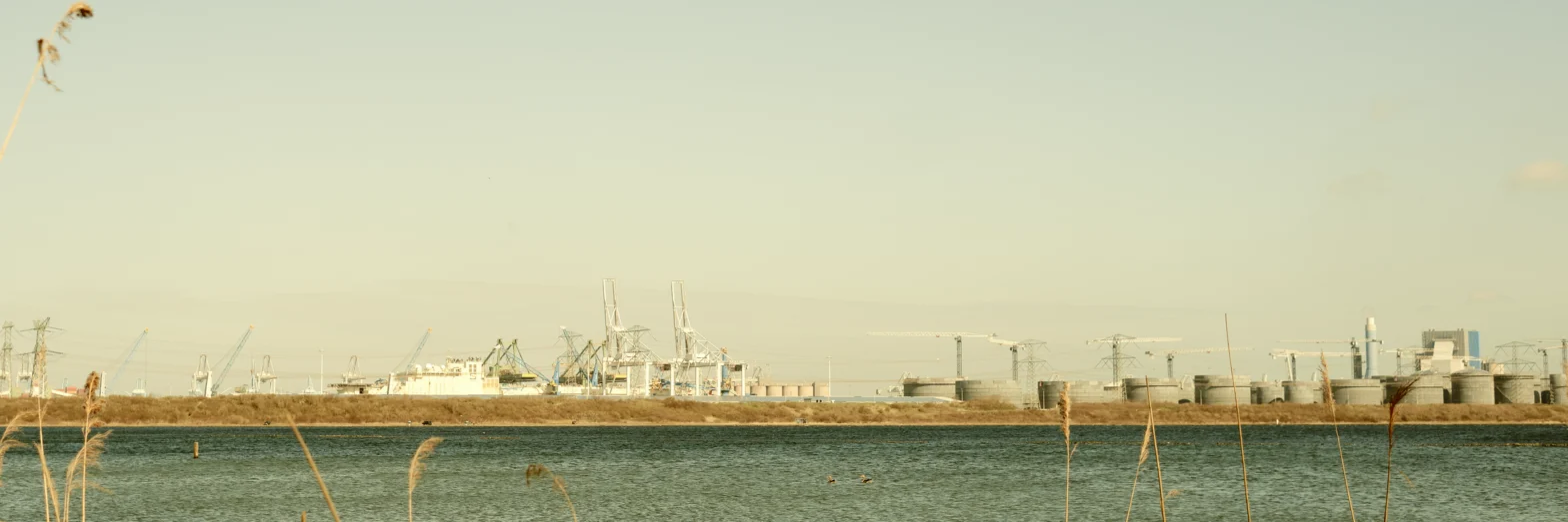 Maasvlakte Rotterdam