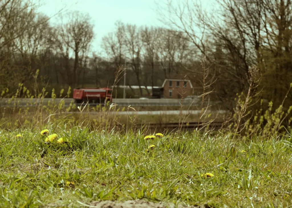 Snelweg gezien vanaf de Bretten