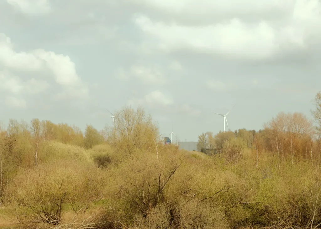 Windmolen gezien vanaf De Bretten