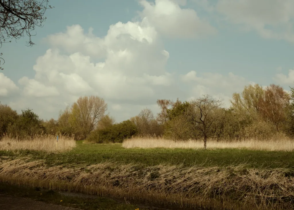 Wolken boven de Bretten