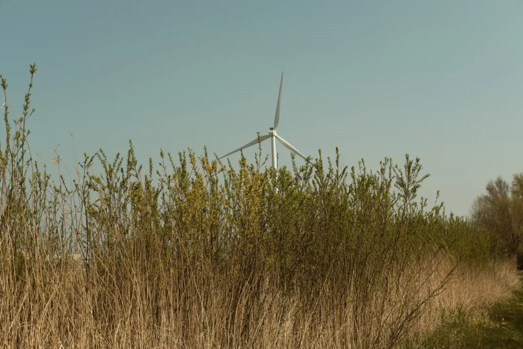 Windmolen gezien vanaf De Bretten