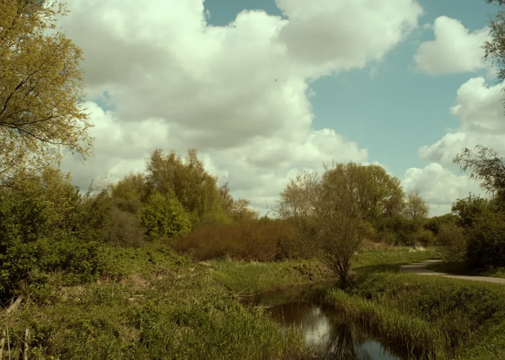 Wolkenluchten boven De Bretten