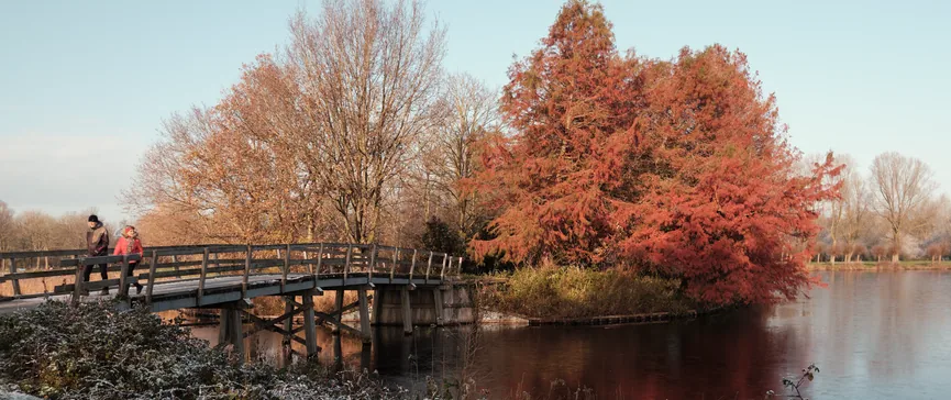 Stel loopt over brug tijdens de winter in Grutte Wielen