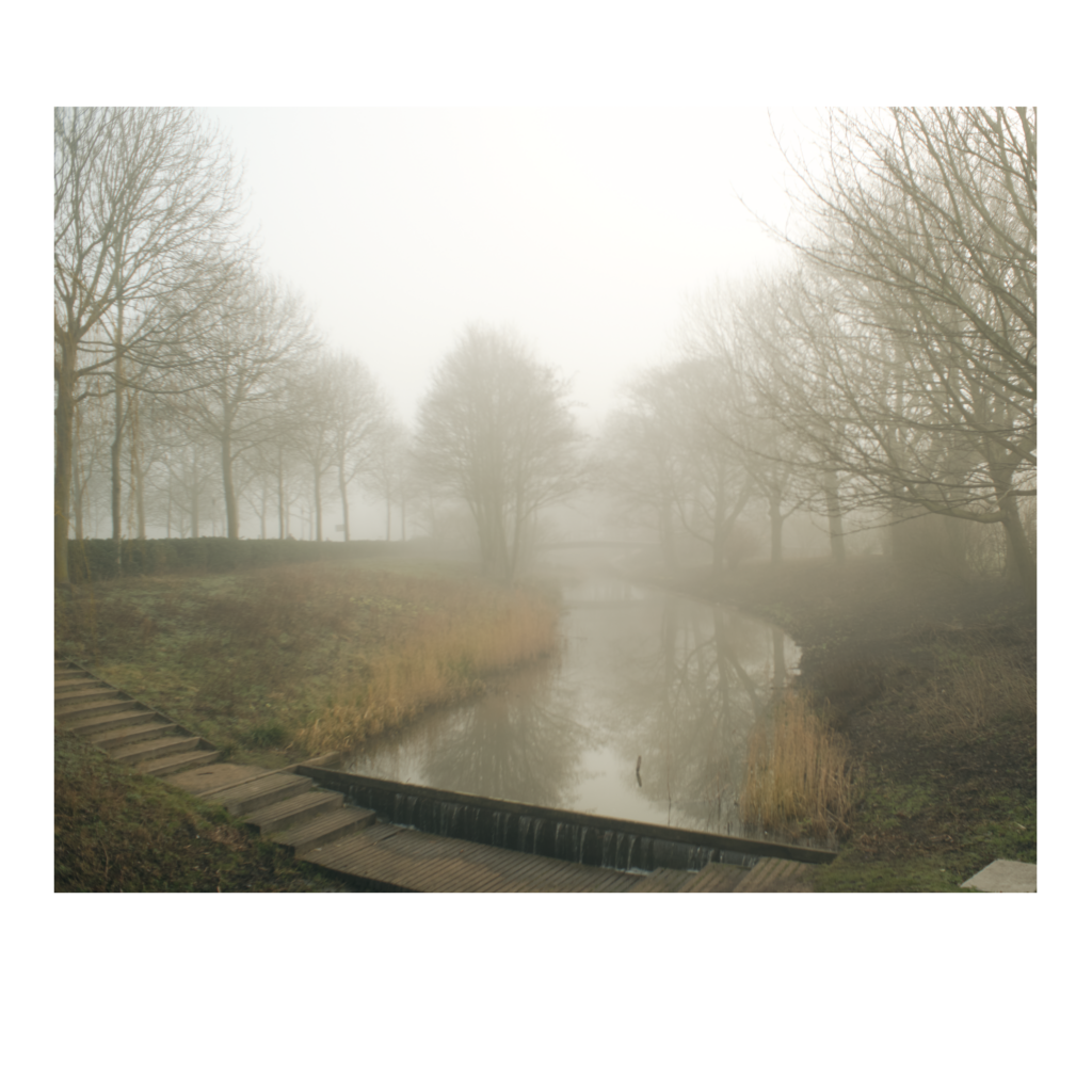 Water en bomen Westerpark Amsterdam in de mist