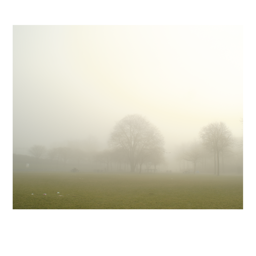 Bomen in nevelen gehuld, Westerpark Amsterdam