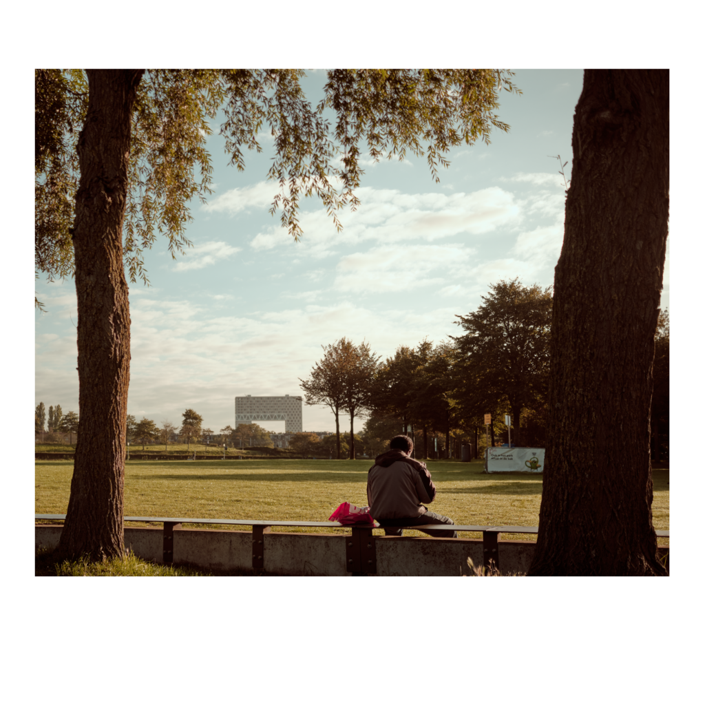 Man op bankje in het Westerpark, op de achtergrond de Pontsteiger
