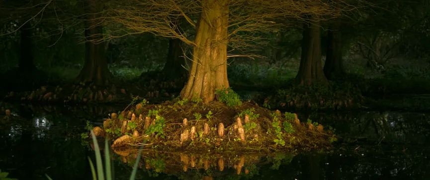 Spooky boom in water