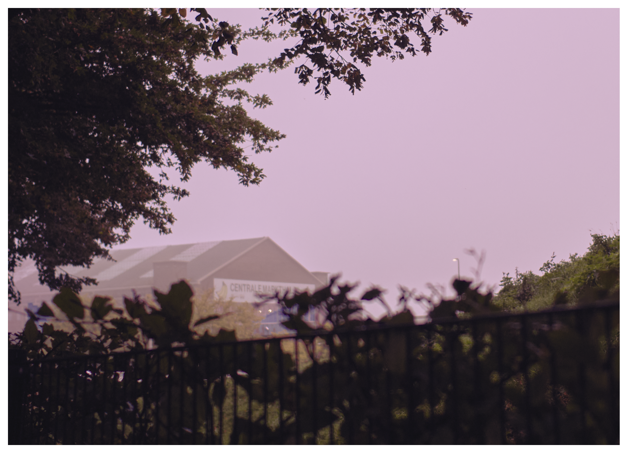 Markt hal in de ochtend, de lucht kleurt roze