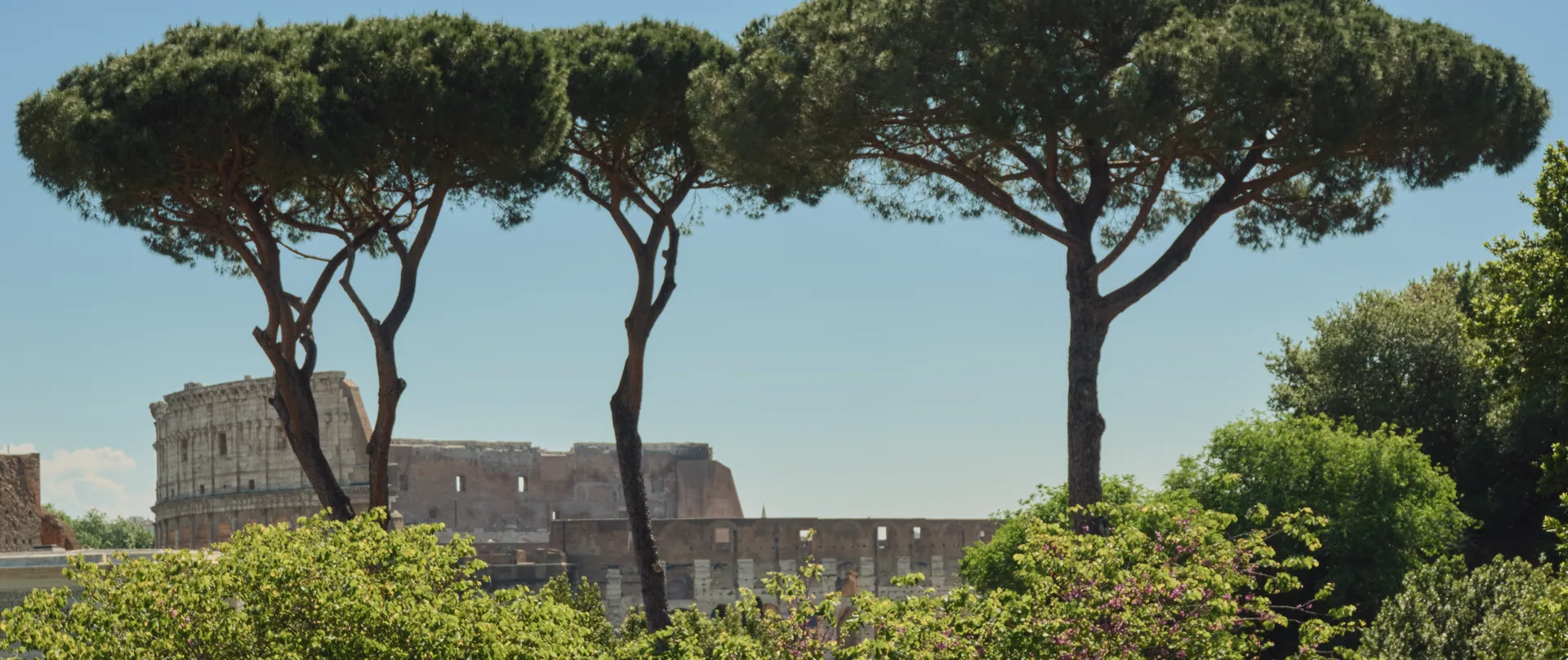 Rome Colosseum
