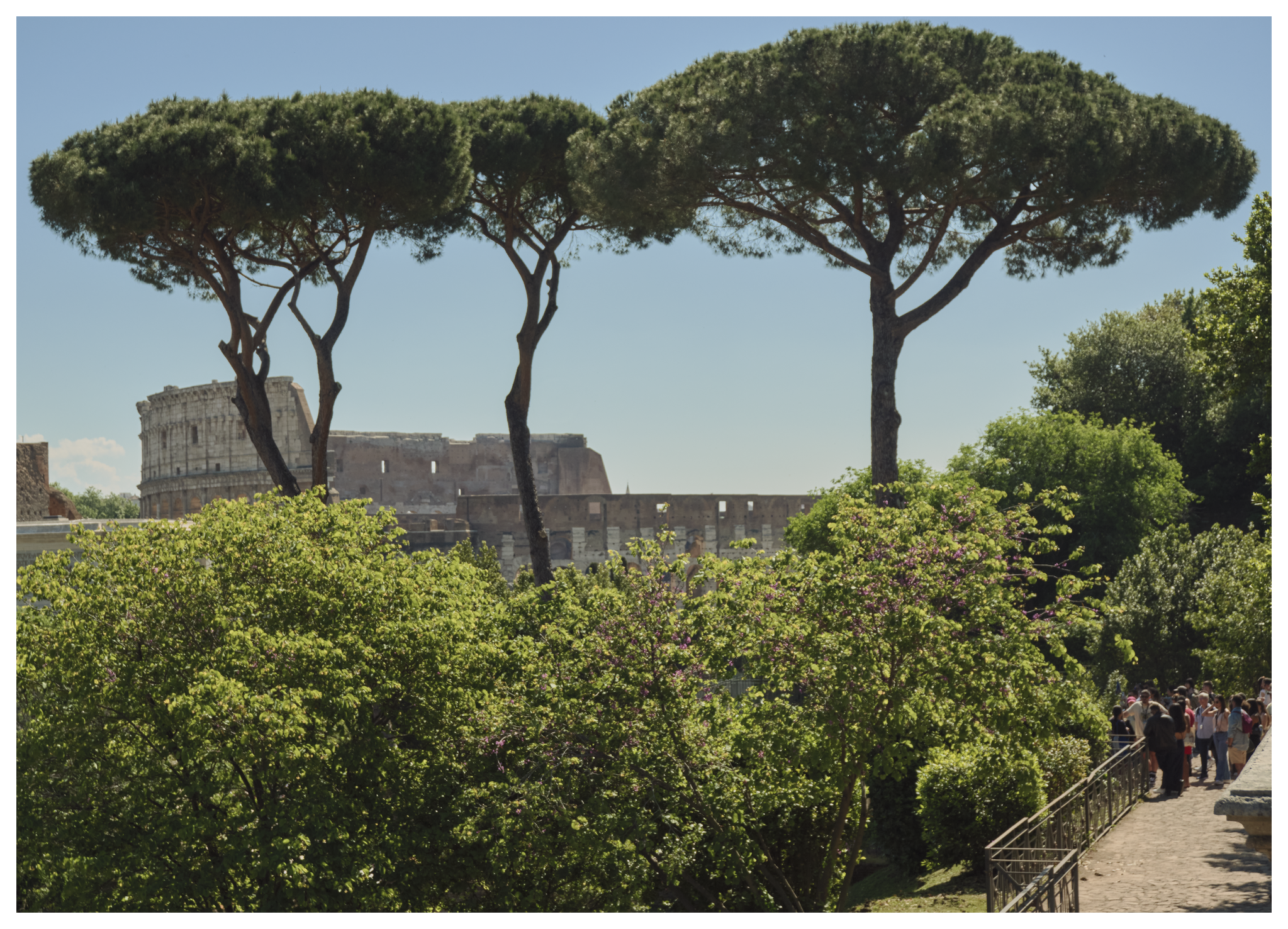 Uitzicht op Colosseum